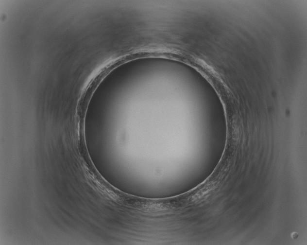 X0000082731408200702091826