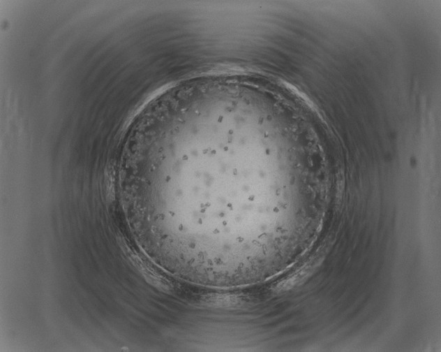 X0000082731409200702091826