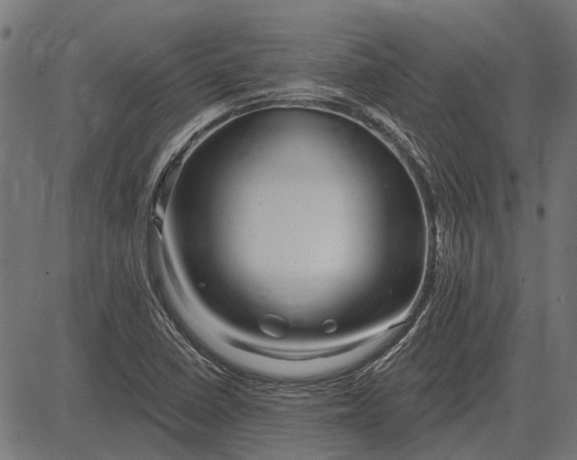 X0000082731410200702091826