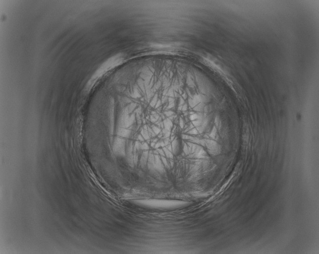 X0000082731411200702091826