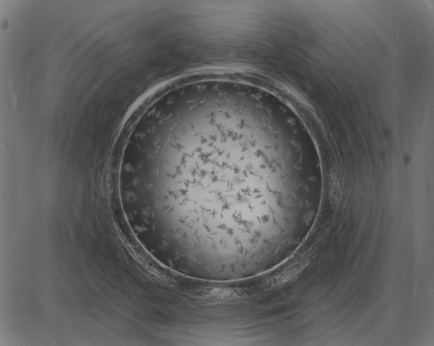 X0000082731412200702091826