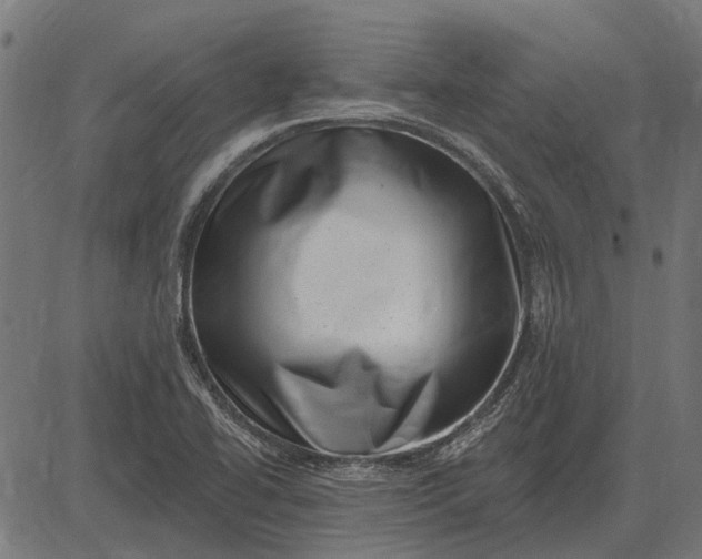 X0000082731414200702091826