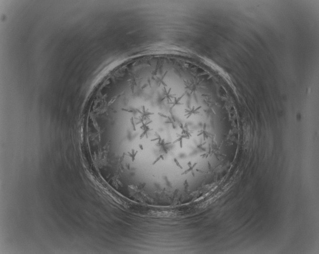 X0000082731415200702091826