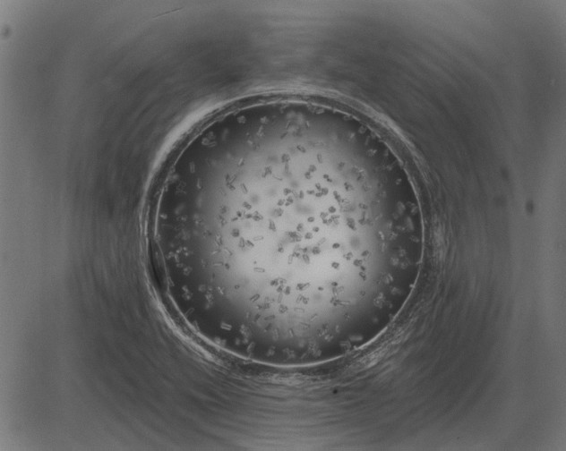 X0000082731416200702091826