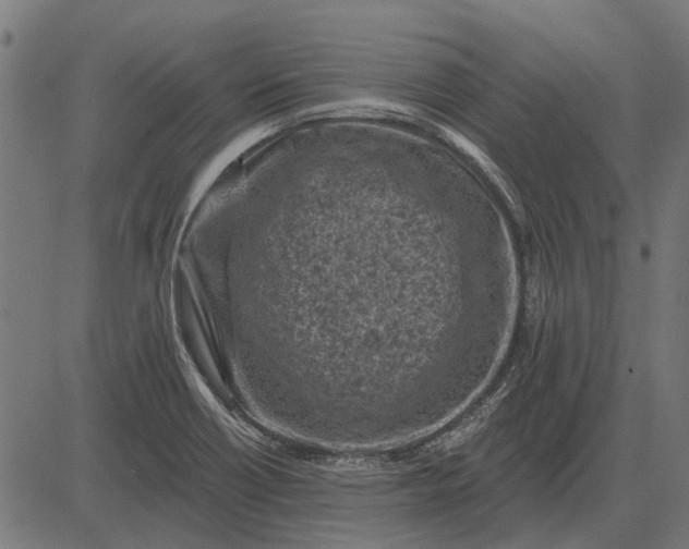 X0000082731418200702091826