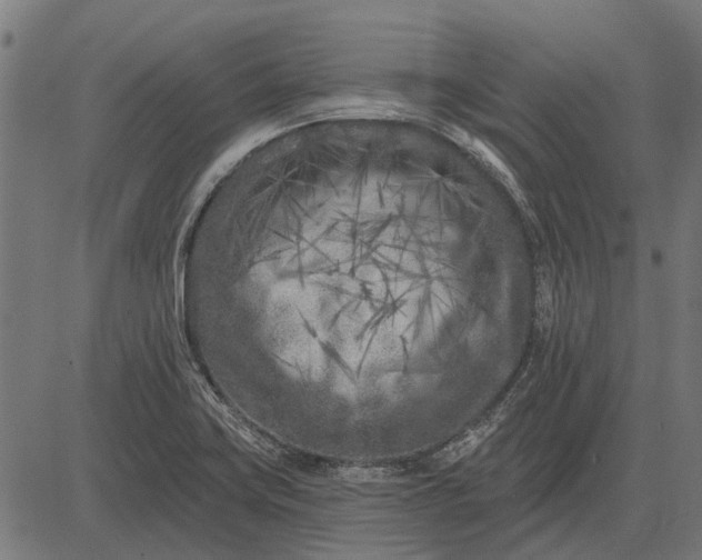 X0000082731419200702091826