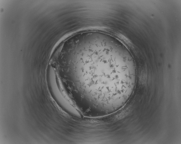 X0000082731420200702091826