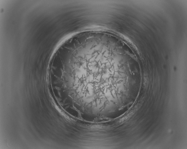 X0000082731421200702091826