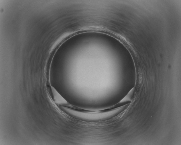 X0000082731422200702091826