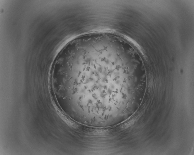 X0000082731423200702091826