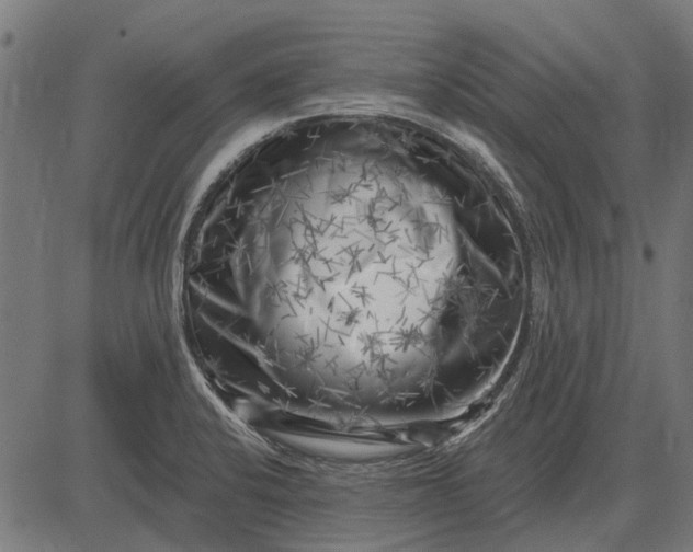 X0000082731424200702091826