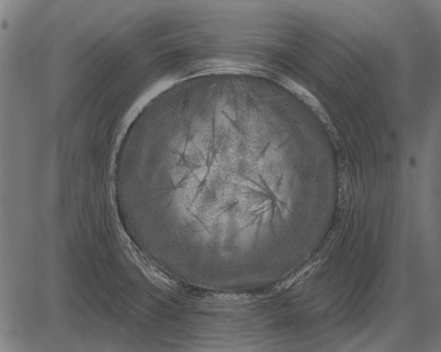 X0000082731427200702091826