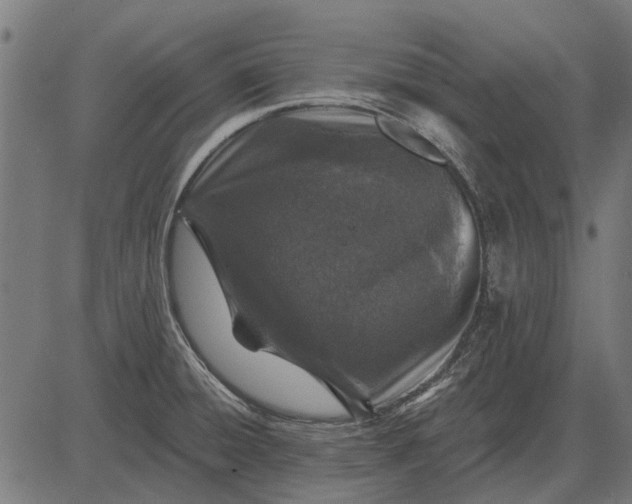 X0000082731428200702091826