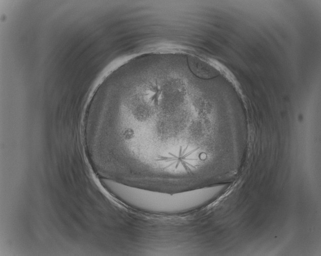 X0000082731429200702091826