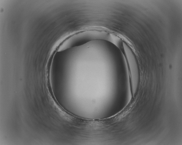 X0000082731430200702091826