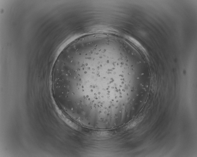 X0000082731431200702091826