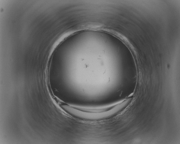 X0000082731432200702091826