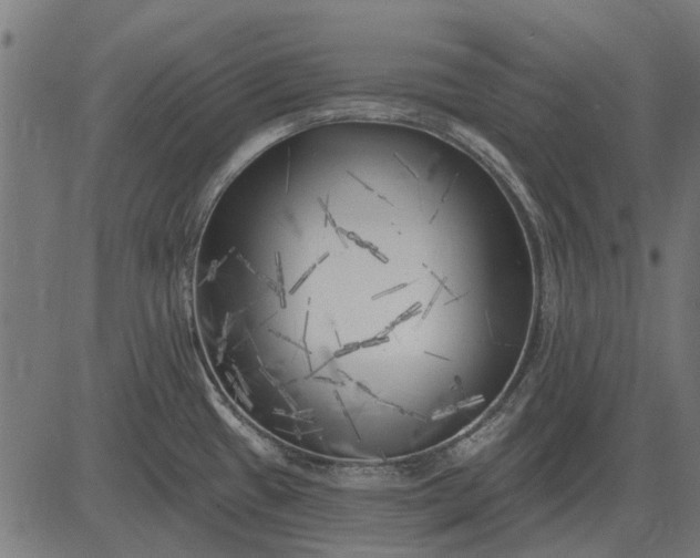 X0000082731433200702091826