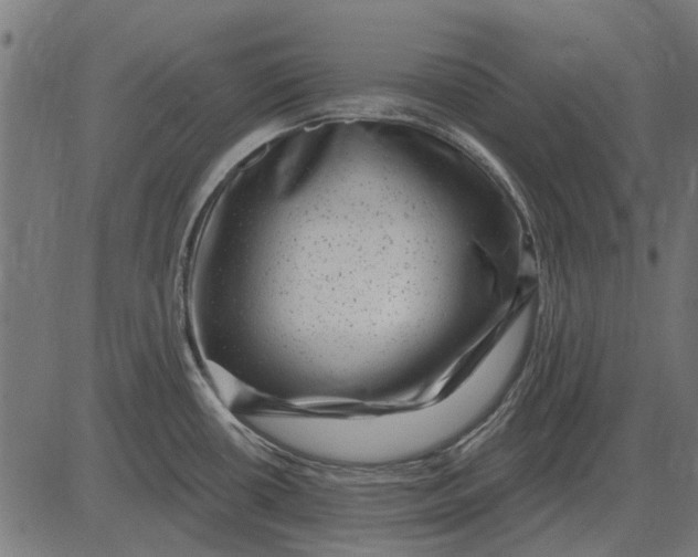 X0000082731434200702091826