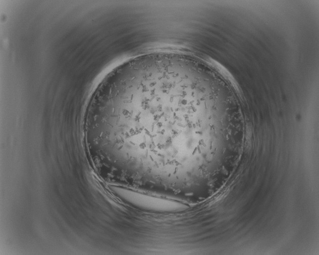 X0000082731435200702091826