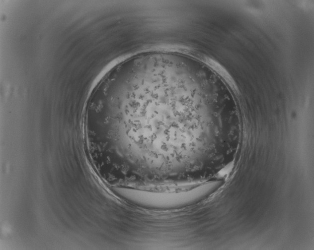 X0000082731436200702091826