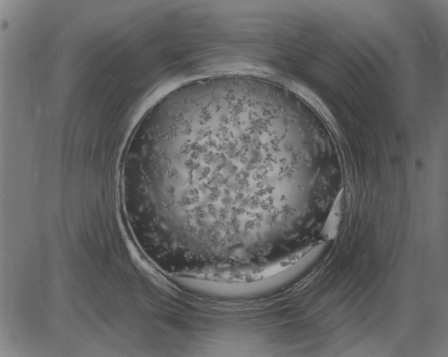 X0000082731439200702091826