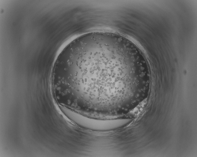 X0000082731440200702091827