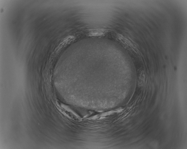 X0000082731441200702091826