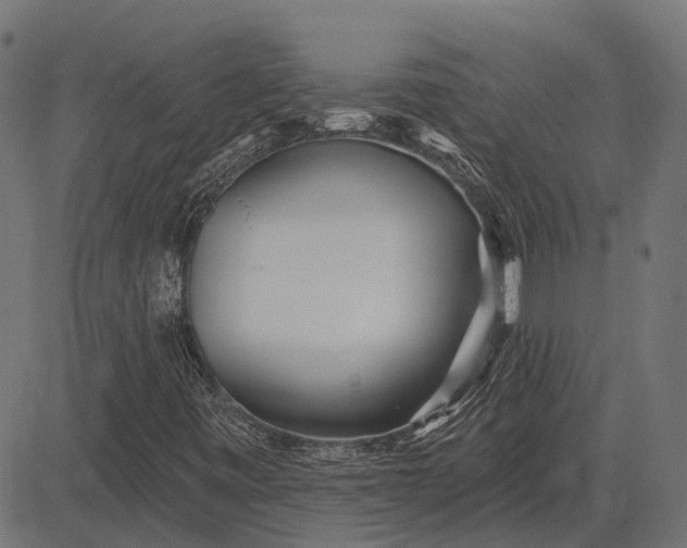 X0000082731443200702091826