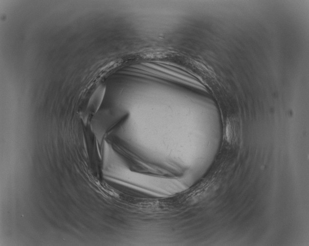 X0000082731444200702091826