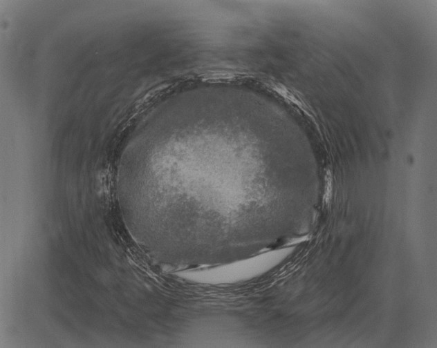 X0000082731445200702091826