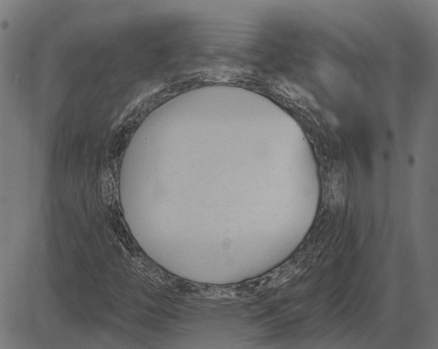 X0000082731446200702091826