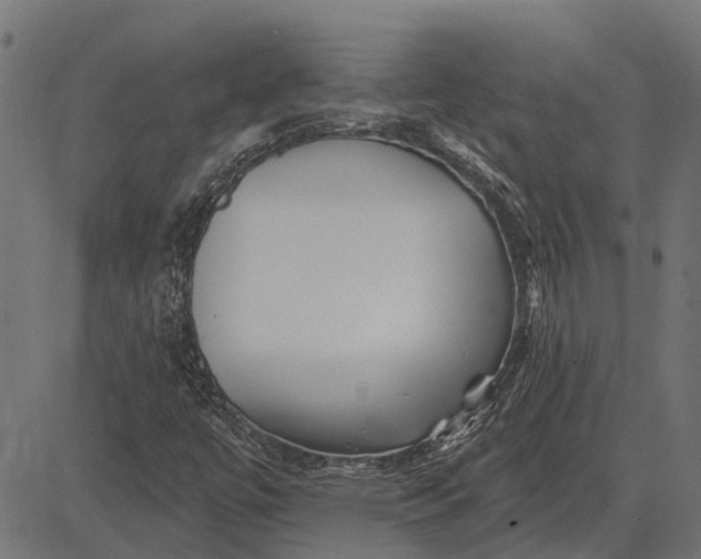 X0000082731447200702091826