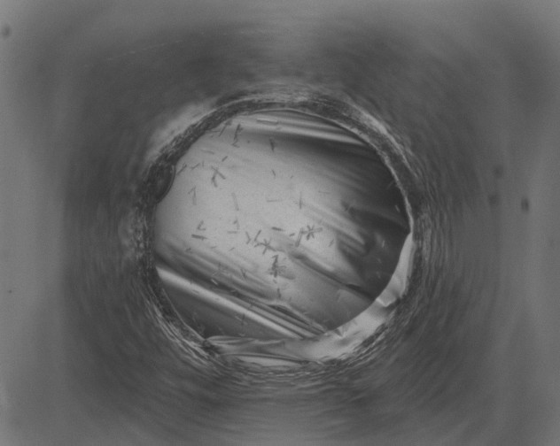 X0000082731448200702091826