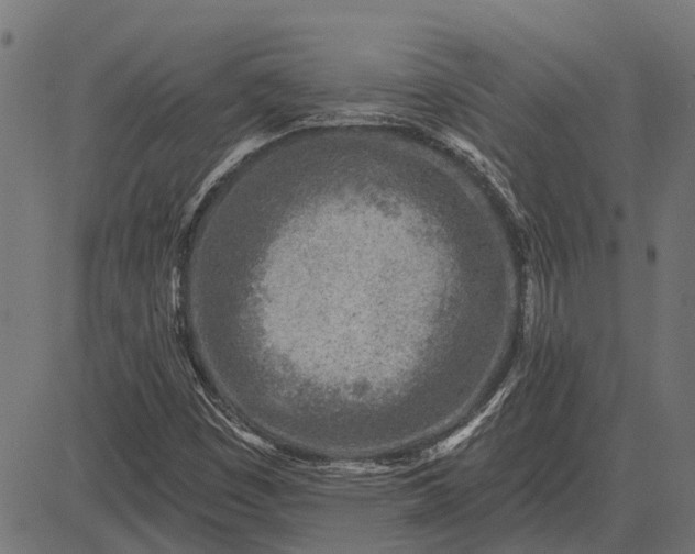 X0000082731449200702091826