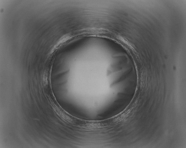 X0000082731451200702091826