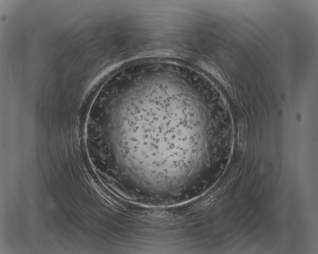 X0000082731452200702091826