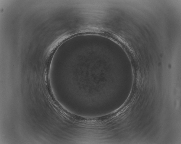 X0000082731455200702091825