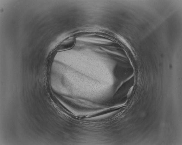 X0000082731456200702091825