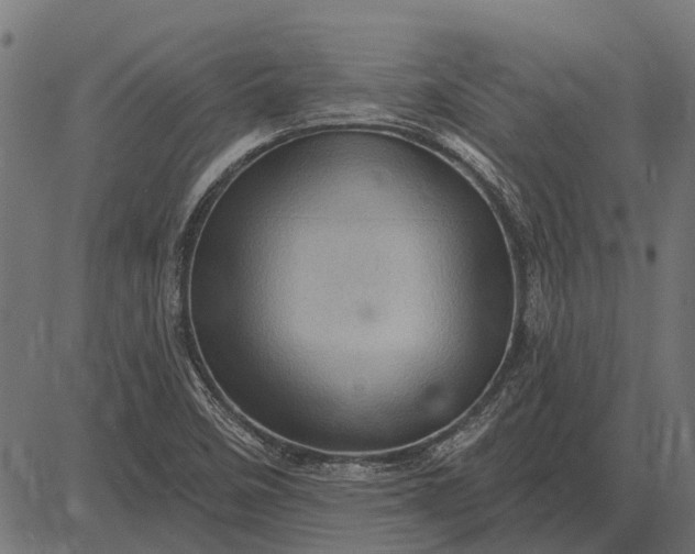 X0000082731458200702091825