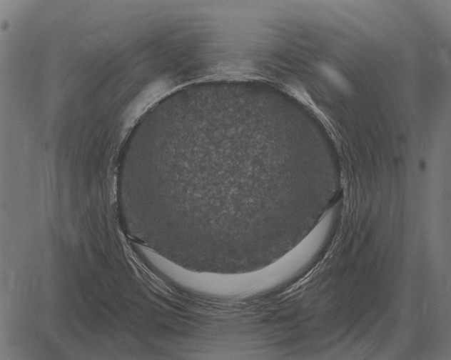 X0000082731459200702091825