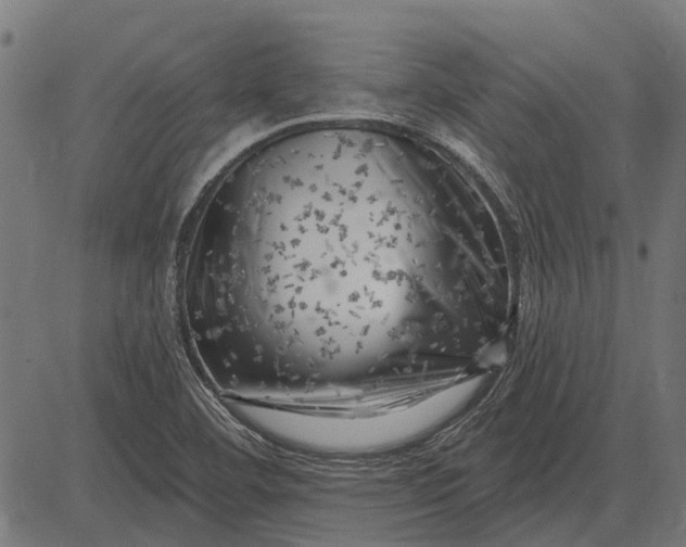 X0000082731460200702091825