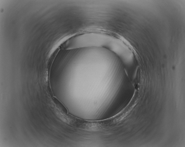 X0000082731461200702091825