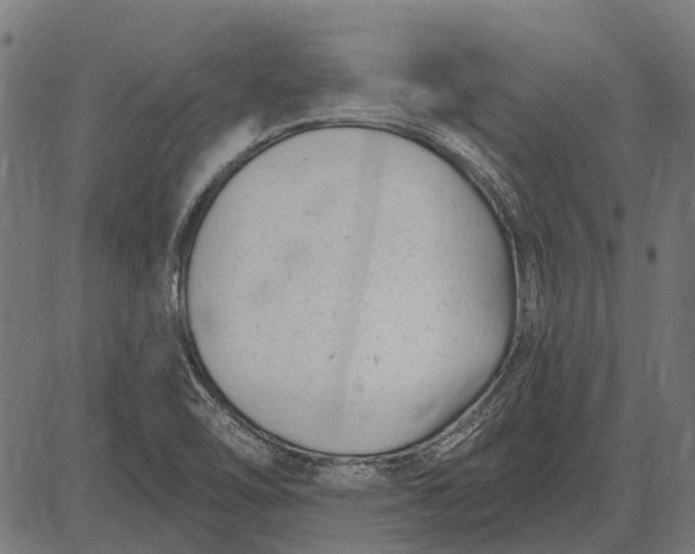 X0000082731462200702091825