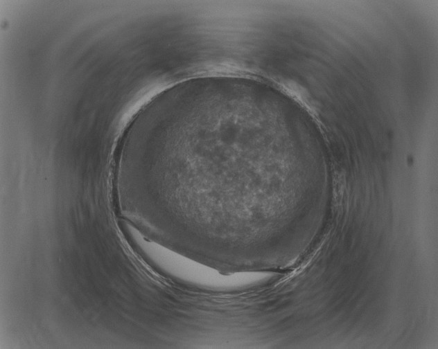 X0000082731463200702091825