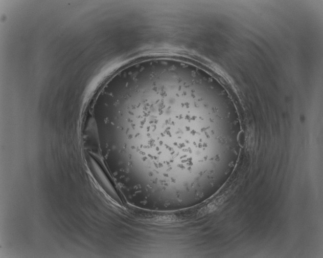 X0000082731464200702091825