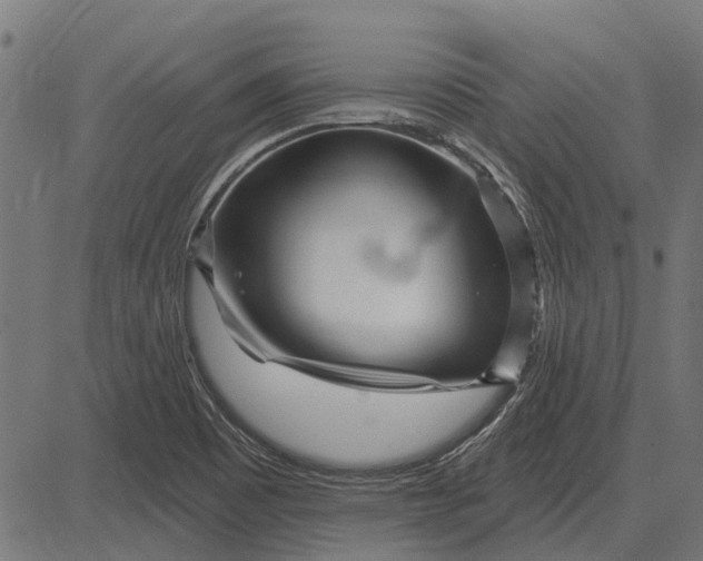 X0000082731465200702091825