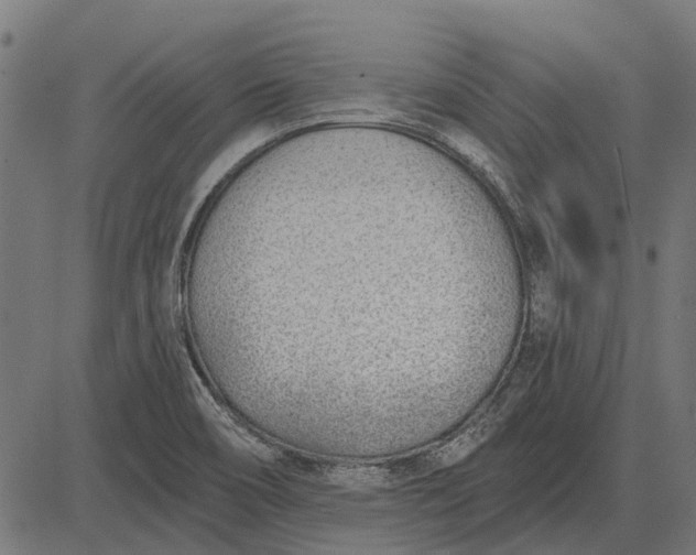 X0000082731466200702091825