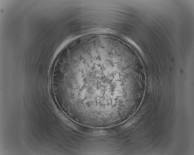 X0000082731467200702091825