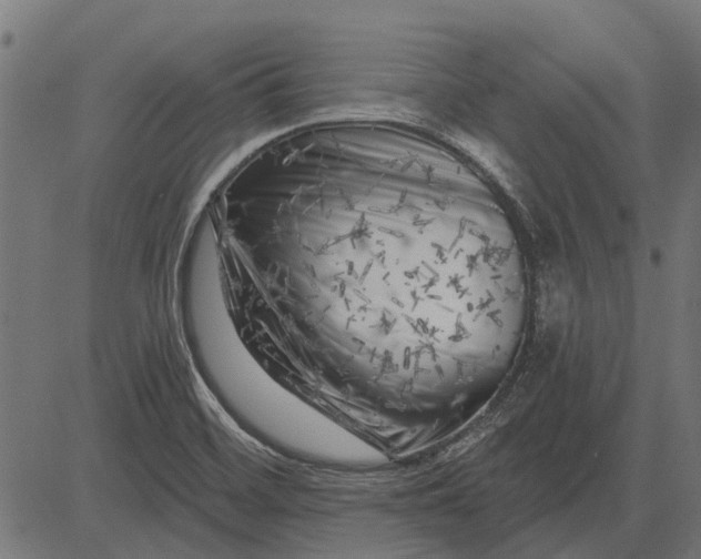 X0000082731468200702091825